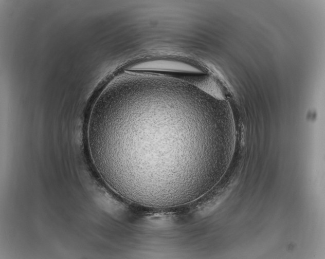 X0000096990447200802151356