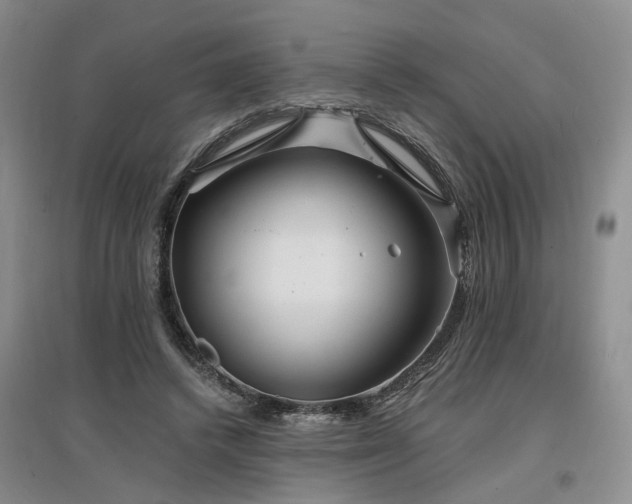 X0000096990448200802151356