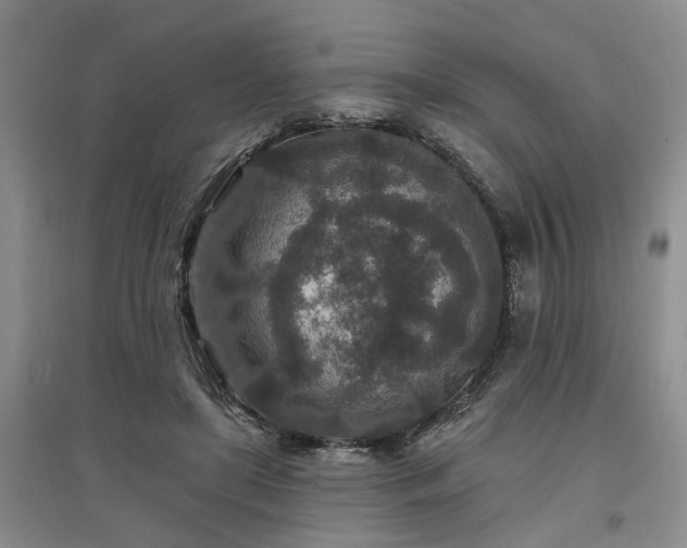 X0000096990451200802151356