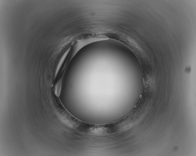 X0000096990452200802151356