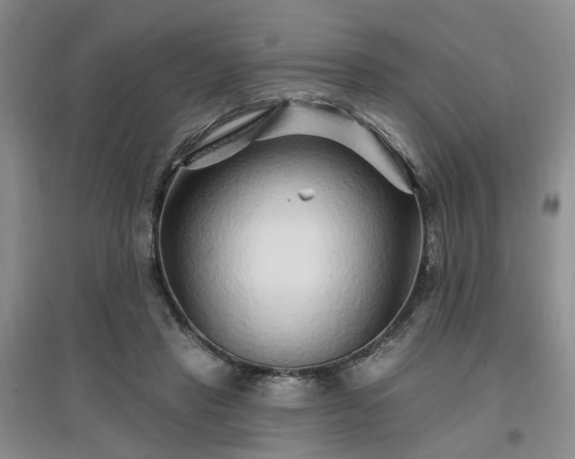 X0000096990453200802151356