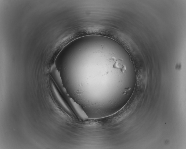 X0000096990454200802151356