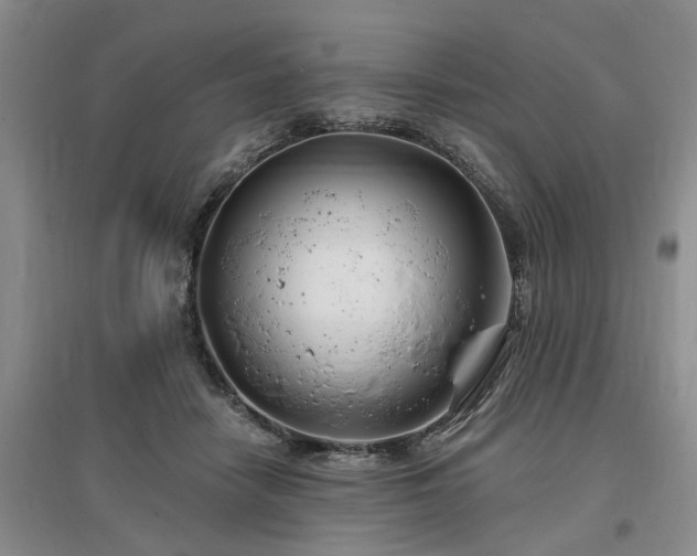 X0000096990458200802151356