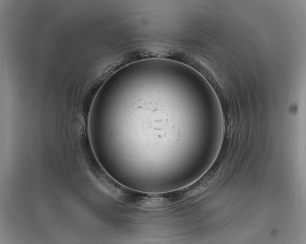 X0000096990459200802151356