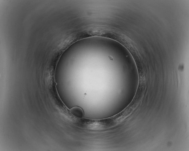 X0000096990460200802151356