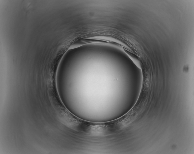 X0000096990461200802151356