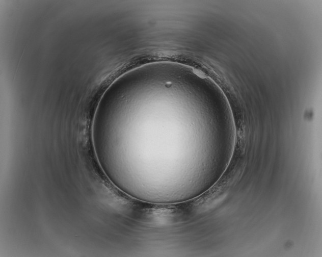X0000096990462200802151356