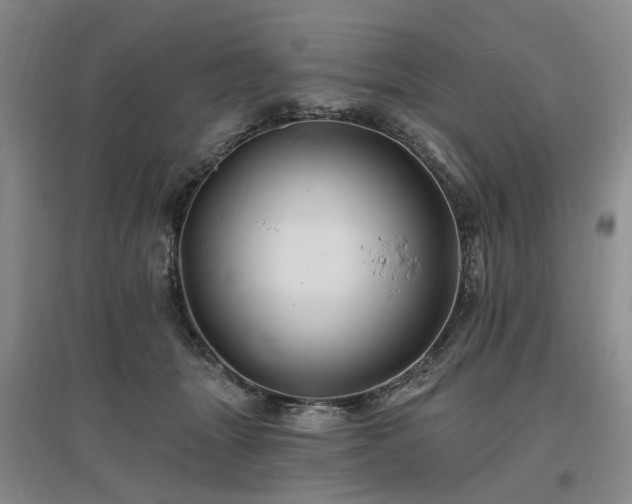 X0000096990463200802151356