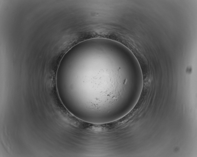 X0000096990464200802151356
