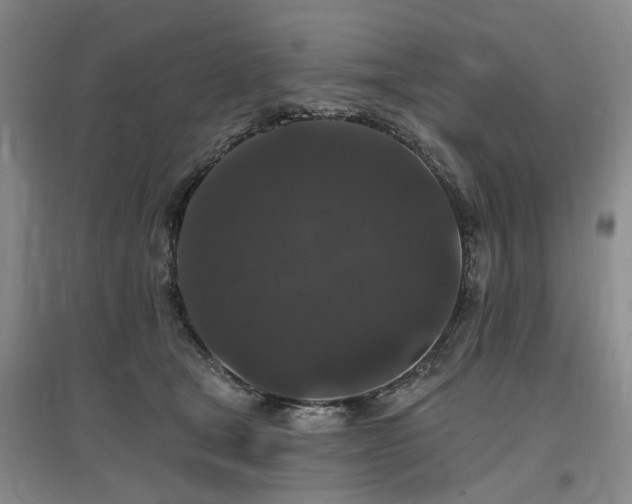 X0000096990465200802151356