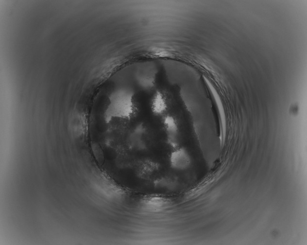 X0000096990467200802151356