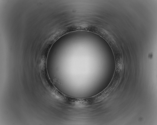 X0000096990468200802151356