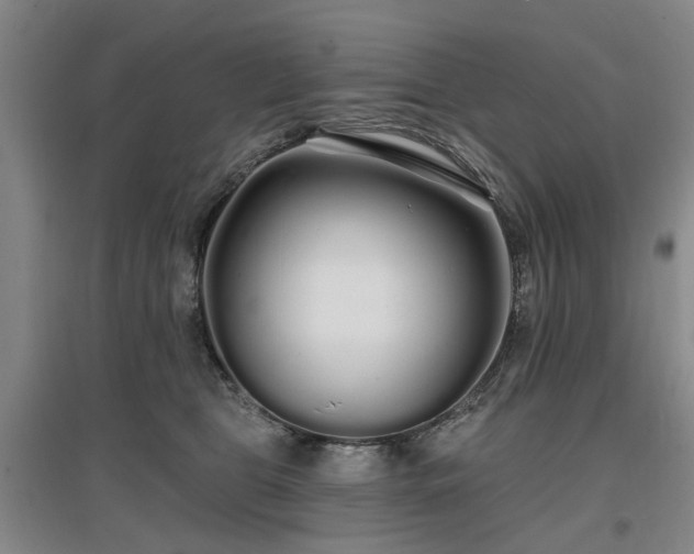 X0000096990469200802151356
