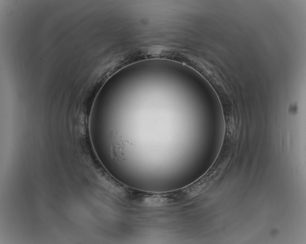 X0000096990470200802151356