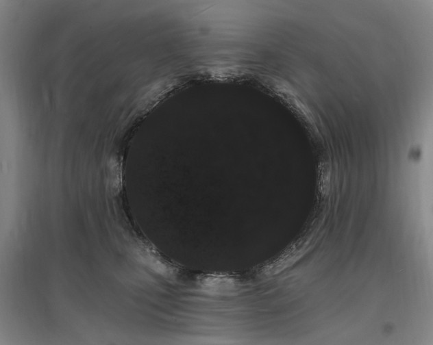 X0000096990471200802151356