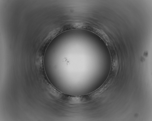X0000096990473200802151356