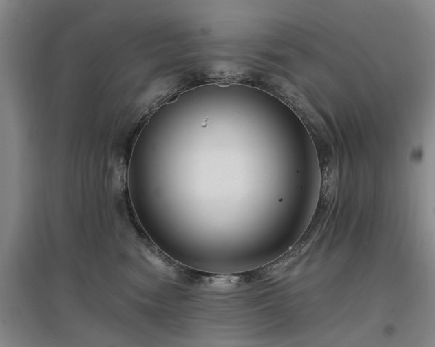 X0000096990474200802151356