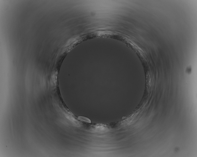 X0000096990475200802151356