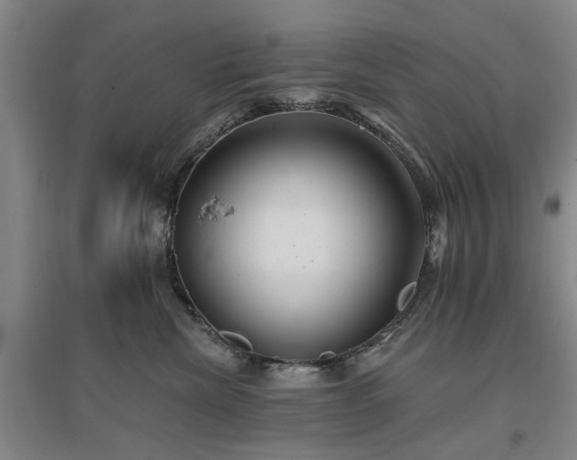 X0000096990476200802151356