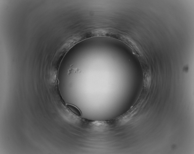 X0000096990477200802151356