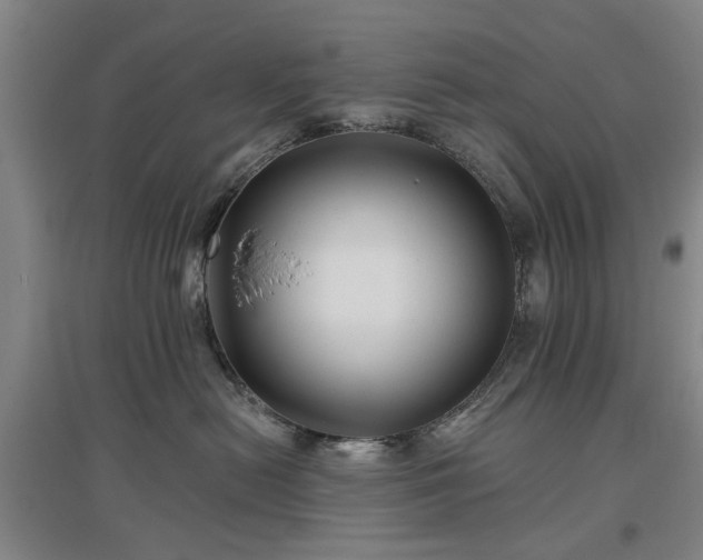 X0000096990478200802151356