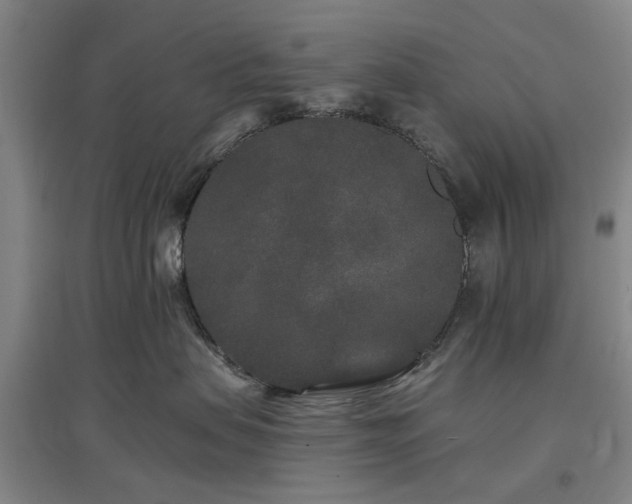 X0000096990479200802151356