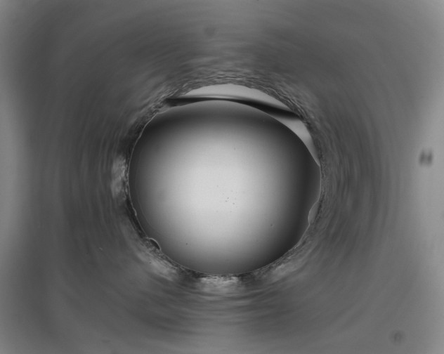 X0000096990480200802151356