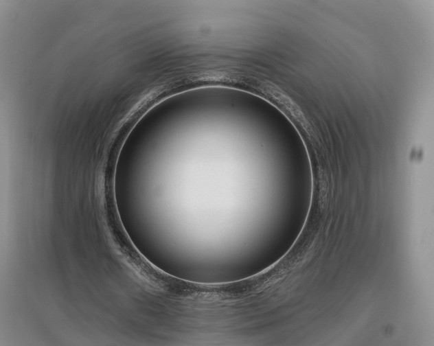 X0000096990482200802151355