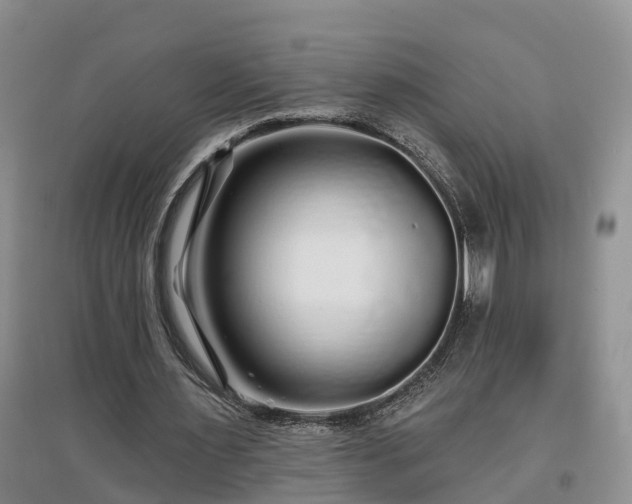 X0000096990483200802151355
