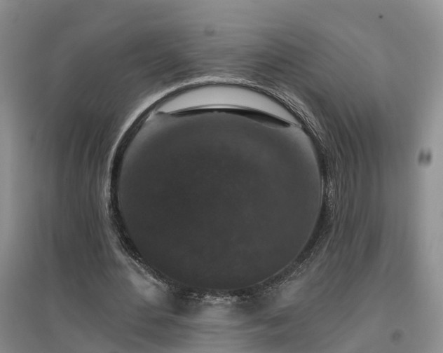 X0000096990484200802151355