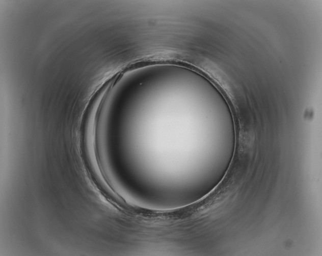 X0000096990485200802151355