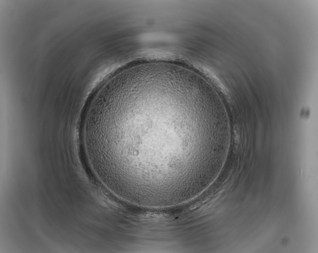 X0000096990487200802151355