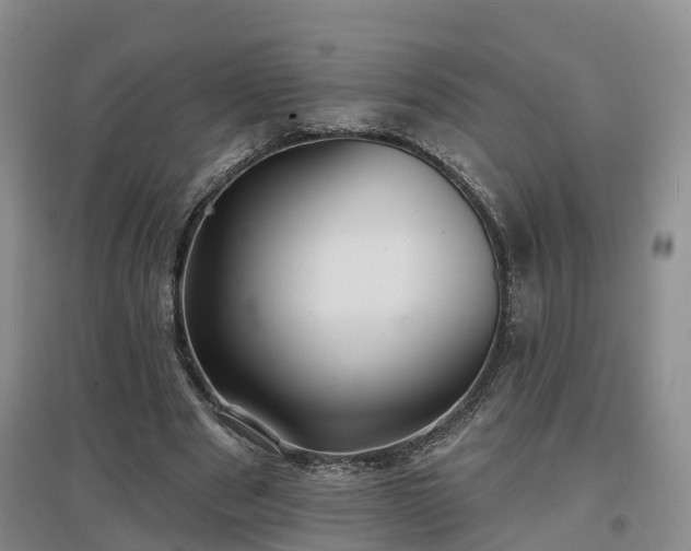 X0000096990489200802151355