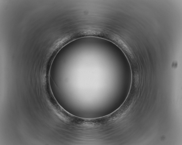 X0000096990490200802151355