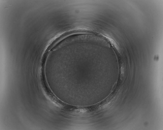 X0000096990492200802151355