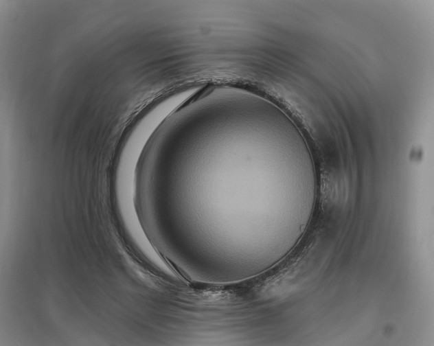 X0000096990493200802151355
