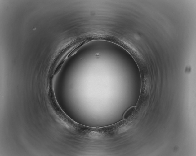 X0000096990494200802151355