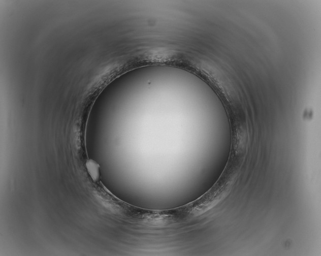 X0000096990497200802151355