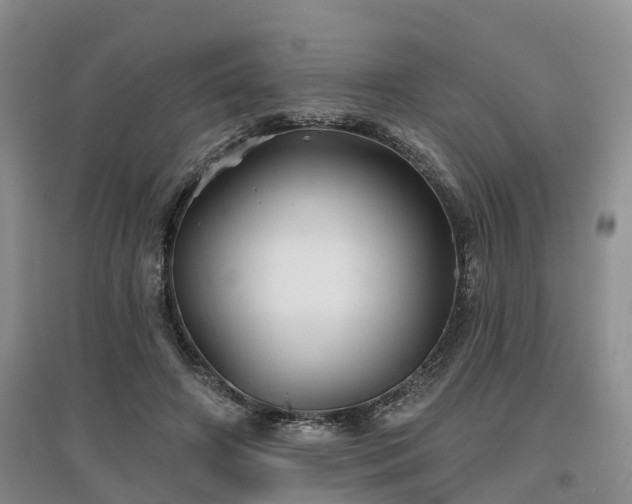 X0000096990498200802151355