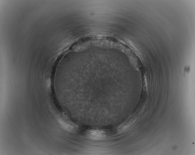 X0000096990500200802151355