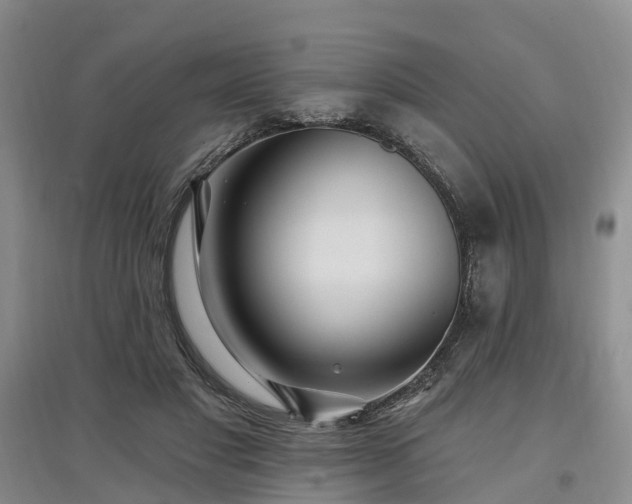 X0000096990501200802151355