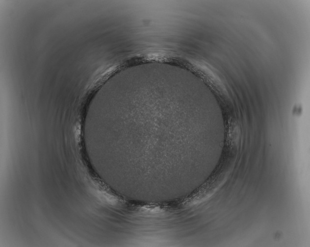 X0000096990502200802151355