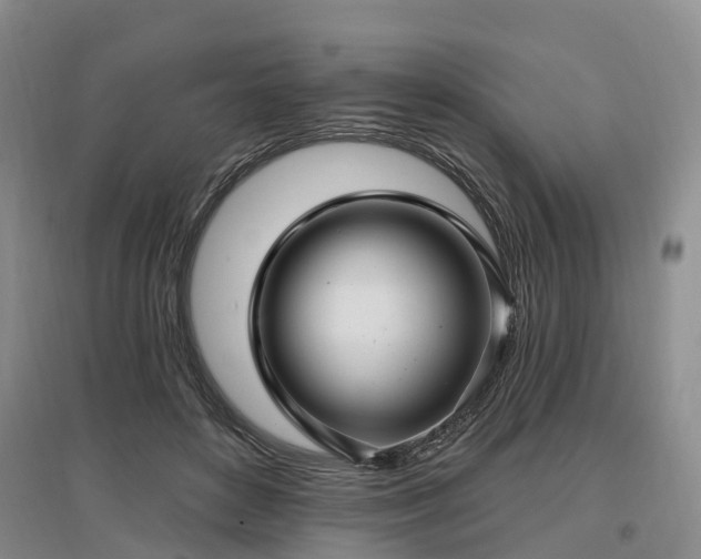 X0000096990504200802151355