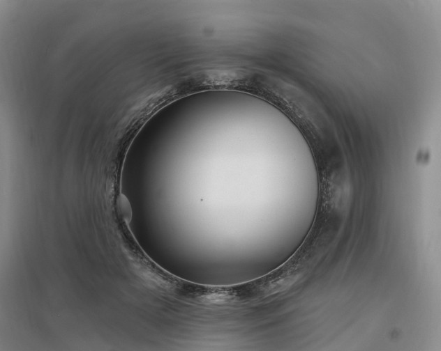 X0000096990505200802151355