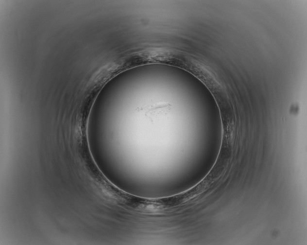 X0000096990506200802151355
