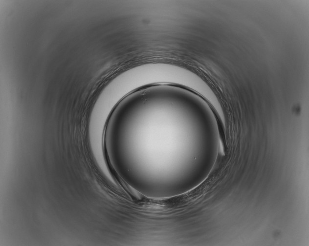 X0000096990507200802151355