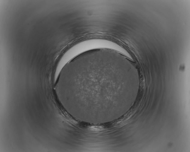 X0000096990508200802151355