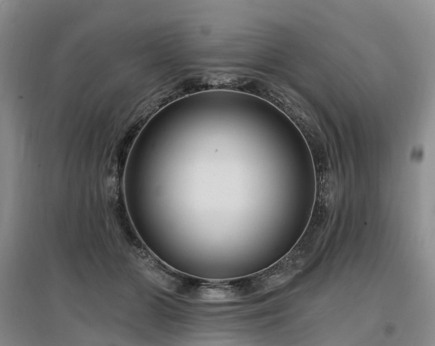 X0000096990510200802151355