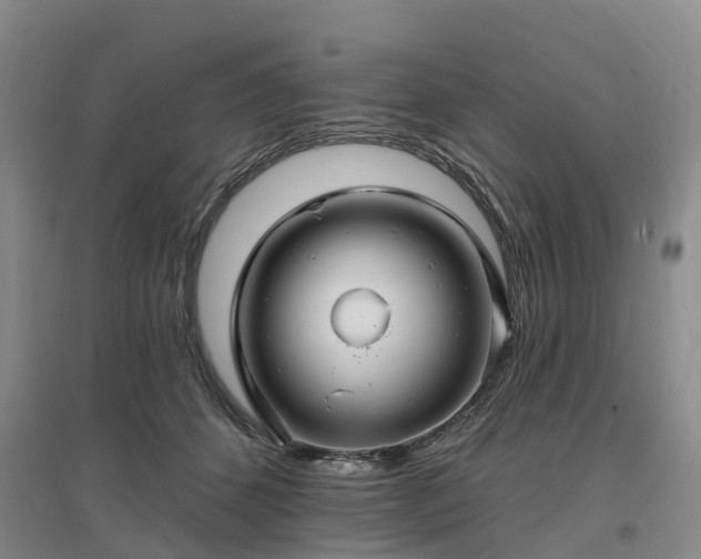 X0000096990512200802151355