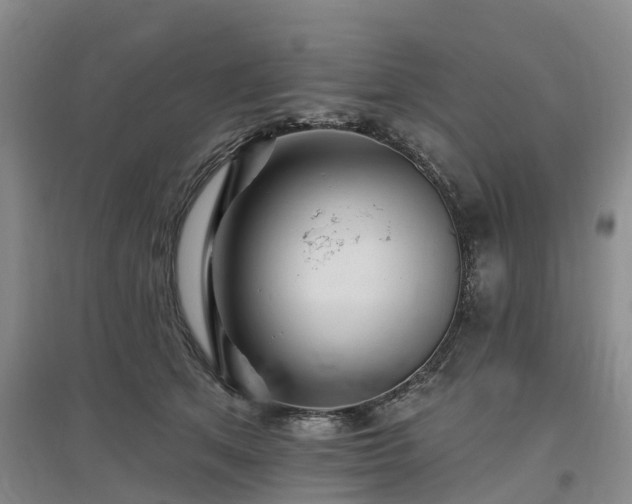 X0000096990513200802151355